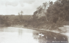 Swanpool, Falmouth, publisher: Frith & Co. Ltd, F, inscribed No. 6115, postcard, 9 x 14 cms.