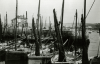 Unknown artist (19th century): Custom's House Quay, Falmouth, 1880's - 1900's - De Pass's photograph album, photograph, 10.5 x 15 cms. Presented by Catherine Wallace.