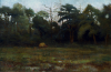Richardson, John Thomas (1860-1942): The Swamp, Cuckoo Mills, Falmouth, signed and dated 1907, image-5, 40.5 x 61 cms.