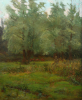 Richardson, John Thomas (1860-1942): Willows, Cuckoo Mill, Swanpool, Falmouth, signed and dated 1909, oil on canvas, 61 x 51 cms.