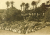 Unknown artist: Gyllingdune Gardens, Princess Pavillion, Falmouth, photograph, 14.7 x 20 cms.