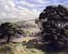 Martin, William A. (1899-1988): Kennal Vale, Ponsanooth, signed, watercolour and pencil, 50 x 62 cms. Presented by Moss, Ruth. Bequest.