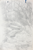 Martin, William A. (1899-1988): Woodland scene with stream, pencil, 15 x 22.8 cms. Presented by Moss, Ruth. Bequest.