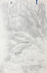 Martin, William A. (1899-1988): Woodland scene with stream, pencil, 15 x 22.8 cms. Presented by Moss, Ruth. Bequest.