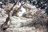 Martin, William A. (1899-1988): Woodland scene with flowers and figure, ink, 17.8 x 25.7 cms. Presented by Moss, Ruth. Bequest.
