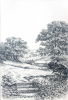 Martin, William A. (1899-1988): Rural landscape with stone wall and cottage, ink, 17.8 x 25.7 cms. Presented by Moss, Ruth. Bequest.
