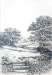 Martin, William A. (1899-1988): Rural landscape with stone wall and cottage, ink, 17.8 x 25.7 cms. Presented by Moss, Ruth. Bequest.