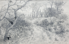 Martin, William A. (1899-1988): Woodland scene with birds, pencil, 11.1 x 17.3 cms. Presented by Moss, Ruth. Bequest.
