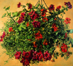 Newton, Kenneth (1933-1984): Hanging Basket, 1976, signed and dated 1976, oil on canvas, 106.7 x 116.8 cms. The Richard Harris Gift.