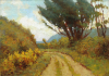 Richardson, John Thomas (1860-1942): Madeira Walk with Japanese Knotweed - Falmouth, oil on card, 25 x 34.3 cms. Presented by Mrs Margaret Morris.