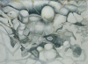 Langdon, Helen: Untitled, signed, pencil and coloured pencil, 44 x 60 cms. Grace Gardner gift 2004.