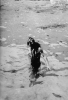 Penrose, Sir Roland (1900-1984): Max Ernst and seaweed, Lambe Creek, photograph, 29.3 x 23 cms. Purchased with grant aid from the Esmee Fairbairn Foundation in 2004. © Roland Penrose Estate. All rights reserved.