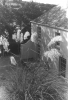 Penrose, Sir Roland (1900-1984): Lambe Creek, photograph, 29.8 x 23.4 cms. Purchased with grant aid from the Esmee Fairbairn Foundation in 2004. © Roland Penrose Estate. All rights reserved.