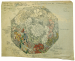 Williams, Marjorie (nee Murray 1880-1961): Flower design from Chinese tile in the V & A, dated 1925-1926, watercolour and ink on waxed paper, 31 x 39.5 cms. Presented by Dr Mariella Fischer-Williams.