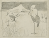 Williams, Marjorie (nee Murray 1880-1961): Storks - farm scenes on reverse, pencil on paper, 21 x 18 cms. Presented by Dr Mariella Fischer-Williams.