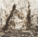 Jackson, Kurt (born 1961): Winter wood (brown), printer: Stoneman, Hugh (1947-2005), signed and dated 2004, etching (B.A.T), 70.5 x 70.5 cms. The Art Fund Hugh Stoneman Archive.