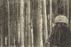 Lindberg, Mick: No. 4 from the series Misplaced People, printer: Stoneman, Hugh (1947-2005), photogravure, 18.5 x 13.5 cms. The Art Fund Hugh Stoneman Archive.