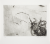 Malde, Pradip (born 1957): Head of a drowned woman - After Shunei, printer: Stoneman, Hugh (1947-2005), publisher: Print Centre Publications, signed and dated 1987, photogravure (number 23 of an edition of 50), 36.5 x 41 cms. The Art Fund Hugh Stoneman Archive
 We will credit the artist at all times.