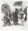 Southall, Andrew: From Black and White of Brick and Bark, printer: Stoneman, Hugh (1947-2005), publisher: The Print Centre, signed and dated 1991, etching (number 23 of an edition of 35), 45.5 x 38.2 cms. The Art Fund Hugh Stoneman Archive
 We will credit the artist at all times.