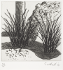 Southall, Andrew: From Black and White of Brick and Bark, printer: Stoneman, Hugh (1947-2005), publisher: The Print Centre, signed and dated 1991, etching (number 23 of an edition of 35), 45.5 x 38.2 cms. The Art Fund Hugh Stoneman Archive
 We will credit the artist at all times.