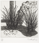 Southall, Andrew: From Black and White of Brick and Bark, printer: Stoneman, Hugh (1947-2005), publisher: The Print Centre, signed and dated 1991, etching (number 23 of an edition of 35), 45.5 x 38.2 cms. The Art Fund Hugh Stoneman Archive
 We will credit the artist at all times.