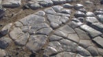 Fagin, Anthony (born 1938): Lava rock polished by generations of sealions hauling up, photograph, 30 x 42 cms. Presented by the artist as part of the Heritage Lottery Fund's Darwin 200 celebrations.
