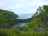 Fagin, Kate (1948-2012): Darwin Lake, Isabela Island, photograph, 30 x 42 cms. Presented by the artist as part of the Heritage Lottery Fund's Darwin 200 celebrations.