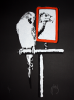 Mantis: Maya, signed, screenprint on black paper (edition 7 of 20), 60.2 x 45 cms. Purchased with funding from the Heritage Lottery Fund as part of the Darwin 200 celebrations.