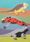 Lee, Sara C. (born 1956): Galapagos Iguana: land iguana, marine iguana from Espanola, marine iguana from Genovesa, signed, cut coloured paper, 29.5 x 21 cms. Commissioned with funding from the Heritage Lottery Fund as part of the Darwin 200 celebrations.