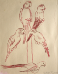 Thomas, Martina (1924-1995): Study for 'Parrots at Birdworld', signed, ink on paper, 35 x 28.5 cms. Presented by Eric James Mellon NDD Hon Fellow CPA.