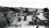 Unknown artist (early 20th century): Dracaena Avenue, Falmouth - looking towards Penryn May 1922, photograph, 16.5 x 21.5 cm. Presented by E Thomas & Company Ltd, Falmouth.