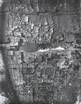 Chipman, Ian (1916-2005): Looking, about 1961, photograph, 37.5 x 29.5 cms.
