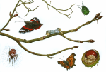 Taylor, Alan (1960-2020): Horsechestnut habitat 1, signed, gouache, 26 x 38 cms. Presented by the artist.