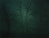 Hughes, Nicholas: In Darkness Visible - Verse I, number 14, photograph, 41 x 51 cms.