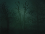 Hughes, Nicholas: In Darkness Visible - Verse I, number 14, photograph, 41 x 51 cms.