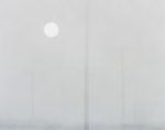 Hughes, Nicholas: Field -Verse I, number 4, photograph (4 of an edition of 8), 41 x 51 cms.