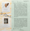 Penrose, Antony (born 1947): Letter from Penrose 'Here is your first present - or should I say cadeau?', signed and dated 24 July 2011, letter with illustrations. New Expressions 2 supported by MLA Renaissance South West and the National Lottery through Grants for the Arts. Commission.