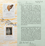 Penrose, Antony (born 1947): Letter from Penrose 'Here is your first present - or should I say cadeau?', signed and dated 24 July 2011, letter with illustrations. New Expressions 2 supported by MLA Renaissance South West and the National Lottery through Grants for the Arts. Commission.