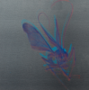 Parsons, Trafford (born 1962): Fly, signed, screenprint on aluminium (1 of an edition of 5), 40 x 40 cms. Bequeathed by Margaret Whitford through the Art Fund
 We will credit the artist at all times. Bequest.