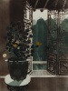 Procktor, Patrick RA (1936-2003): Nasturtiums, Wusih (from the China Series), signed and dated 1980, etching (40 of an edition of 75), 78 x 60 cms. Presented by Harbottle Esq, Laurence through the Art Fund.