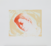 Williams, Nicholas Charles: Plateau, signed and dated 2000, lithograph (artists proof II), 50 x 55 cms. Credit the artist at all times.