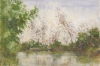 Tuke, Henry Scott, RA RWS (1858-1929): Mangrove Swamp, signed and dated 1923, watercolour, 17.4 x 26 cms. RCPS Tuke Collection. Loan.