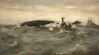 Tuke, Henry Scott, RA RWS (1858-1929): Whale Blowing, oil on canvas laid down on board, 25.4 x 45.7 cms. RCPS Tuke Collection. Loan.