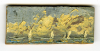 Miners, Neil: Seascape with five boats, signed, oil on board, 3.2 x 7.5 cms. Presented by Pye, Brenda. Bequest.