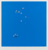 Scott, Rosie: Flying flowers, flying flags, signed, inscribed For Brenda, Lots of Love Rosie xx, screenprint, 70 x 70 cms. We will credit the artist at all times. Bequest.