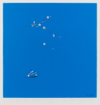 Scott, Rosie: Flying flowers, flying flags, signed, inscribed For Brenda, Lots of Love Rosie xx, screenprint, 70 x 70 cms. We will credit the artist at all times. Bequest.